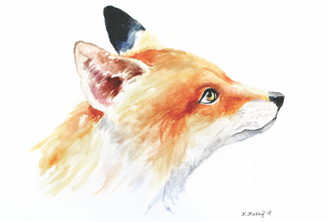 Fox Illustration