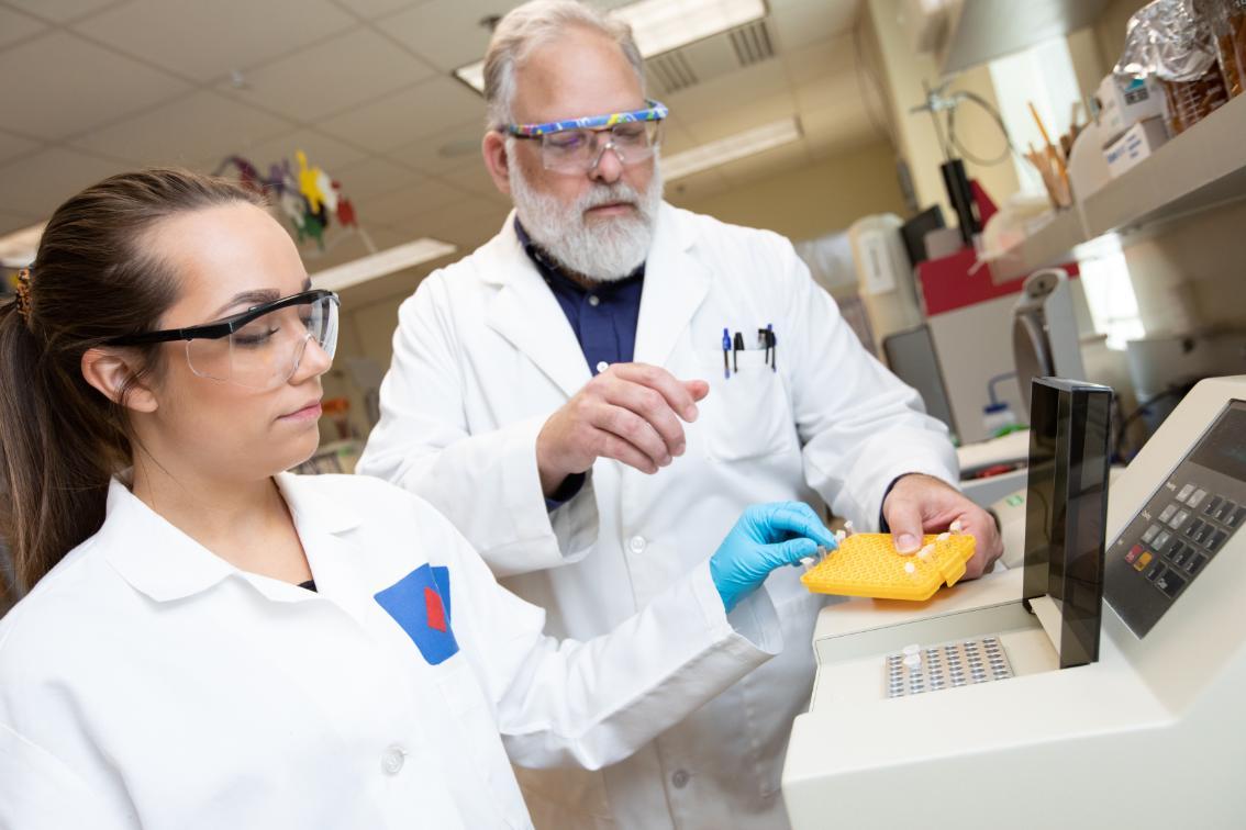 This summer Sarah Dooley ’21 has been working with Dr. Dale Beach, a biology professor, to research brewing yeast.